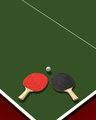 Two table tennis or ping pong rackets and ball on a table with net 3d illustration - PhotoDune Item for Sale
