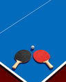 Poster Two table tennis or ping pong rackets and ball on a table with net 3d illustration - PhotoDune Item for Sale