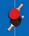 Poster Two table tennis or ping pong rackets and ball on a table with net 3d illustration - PhotoDune Item for Sale