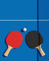 Two table tennis or ping pong rackets and ball on a table with net 3d illustration. Poster disgn. - PhotoDune Item for Sale