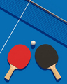 Two table tennis or ping pong rackets and ball on a table with net 3d illustration - PhotoDune Item for Sale