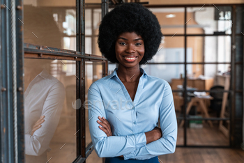 beautiful woman working in the office / Photodune, Misc
