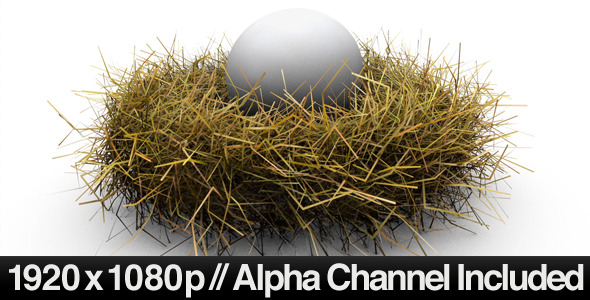 Nest Egg Concept With Alpha Channel