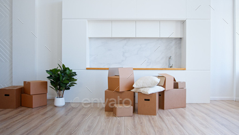 Unpack brown cardboard box in new apartment / Photodune, Misc