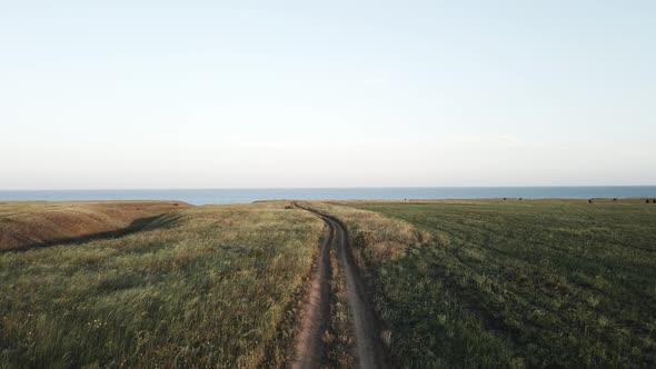 Dirt Road at Sunset in a Field By the Sea