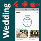 Wedding Planning Android App Template + iOS App Template | 2 Apps | Flutter | DreamWedding - CodeCanyon Item for Sale
