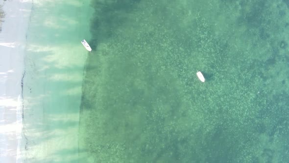 Zanzibar Tanzania  Vertical Video of the Ocean Near the Coast Slow Motion