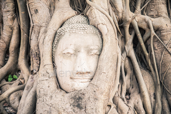 Ayutthaya,Thailand / Photodune, Misc
