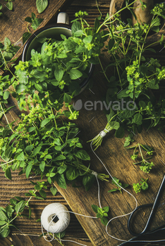Garden Fresh Oregano Marjoram Herb on Wooden Kitchen Table / Photodune, Misc