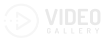 wordpress video gallery