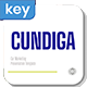 Cundiga - Car Marketing Presentation KEY Template - GraphicRiver Item for Sale