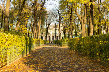 Linden alley in autumn park with colorful trees and sunlight, yellow leaves fallen on the path. / Photodune, Misc