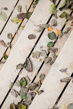Fallen dry withered leaves lie on bright wooden steps, top view. Autumn season / Photodune, Misc