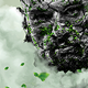 Overgrown Photoshop Action - GraphicRiver Item for Sale