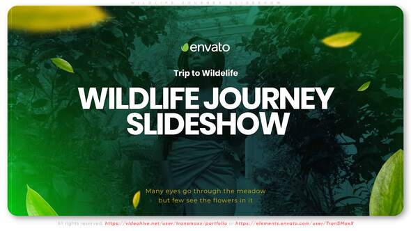 Wildlife Journey Slideshow