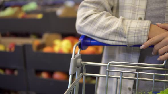 Woman Walking in Supermarket with Shopping Trolley Hands Pushing Shopping Cart