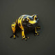Cartoon Yellow-banded Frog Rigged 3D Model - 3DOcean Item for Sale