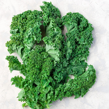 Curly kale leaves on gray background, square format / Photodune, Misc