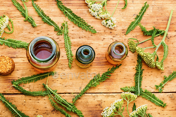 Yarrow in herbal medicine,achillea millefolium / Photodune, Misc