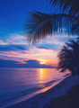 Sea sunset - PhotoDune Item for Sale