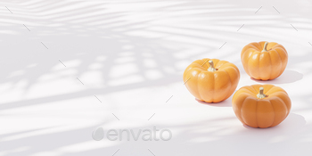 Pumpkins on white background for advertising on autumn holidays or sales / Photodune, Misc