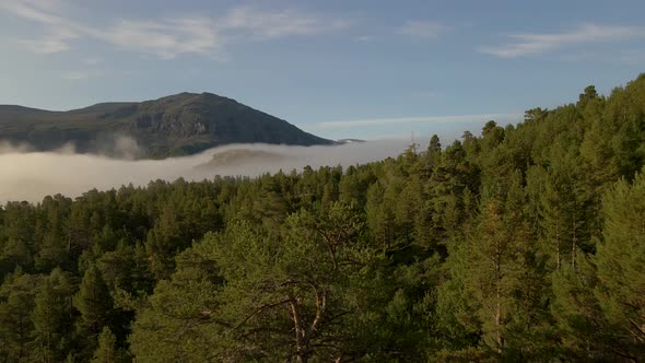 Beautiful aerial shot flying low over a forest with mountains and fog in Norway