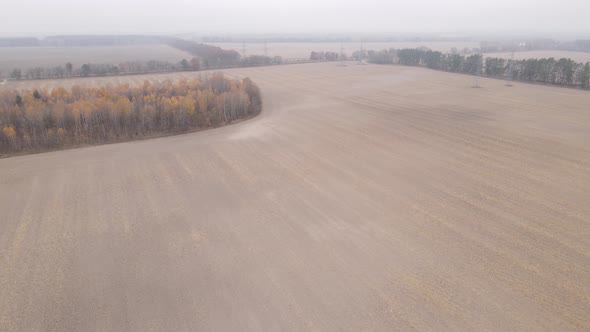 Land in a Plowed Field in Autumn