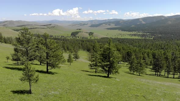 Green Meadows in The Sparsely Wooded Between Forest Covered Hills with Aerial View