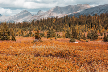 Autumn in Canada / Photodune, Misc