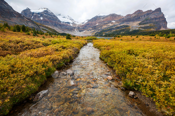 Autumn in Canada / Photodune, Misc