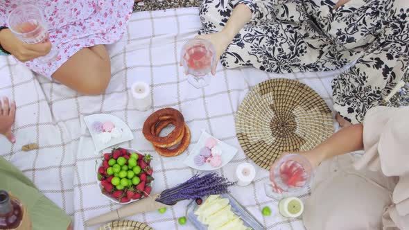 Four Women Clink Glasses of Wine at a Picnic