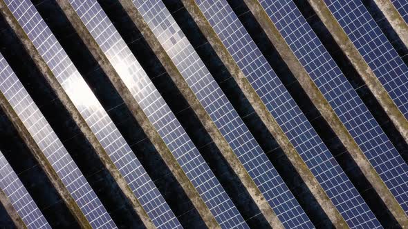 Top View of Blue Solar Panels