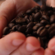 Coffee Rain On Hands - VideoHive Item for Sale