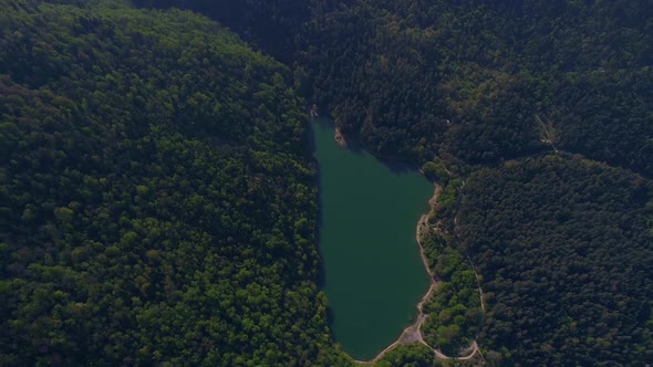 Lake among dense forests, aerial view.