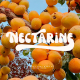 Nectarine - Display Font - GraphicRiver Item for Sale