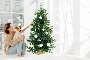 陽気な女性は血統の犬と一緒に窓辺に座って、新年の休日をお楽しみください / Photodune, Misc