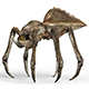 Monster Spider With PBR Textures - 3DOcean Item for Sale