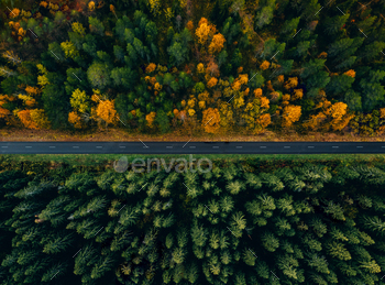夏と秋または秋の森を通る道路の航空写真。 / Photodune, Misc