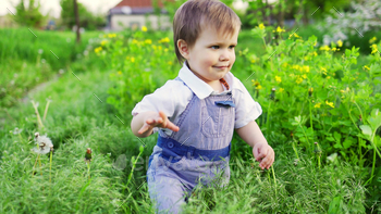 青い目をしたファッショナブルな服を着たかわいい男の子が遊んで、大きな緑の背の高い草に飛び込みます / Photodune, Misc
