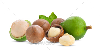 macadamia nuts with leaf isolated on white / Photodune, Misc