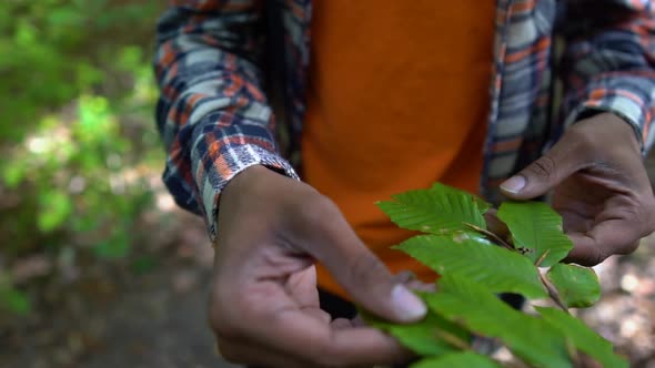 Man Feels Plant Leaves with Hands in Slow Motion