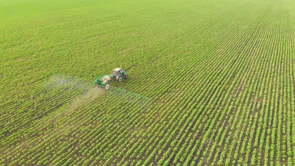 Aerial Top View of Farming Tractor Plowing and Spraying on Agriculture Large Territory Greenfield