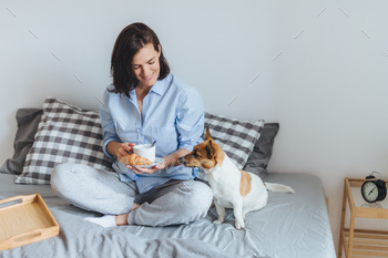 魅力的な女性はベッドに足を組んで座り、熱いお茶を飲み、クロワッサンを食べ、犬は彼女の近くに座ります / Photodune, Misc