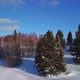 Aerial View of Winter Forest View From Behind the Trees Rising Up - VideoHive Item for Sale