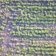 Endless Rows of Crop on a Farmland Aerial Drone Shot - VideoHive Item for Sale