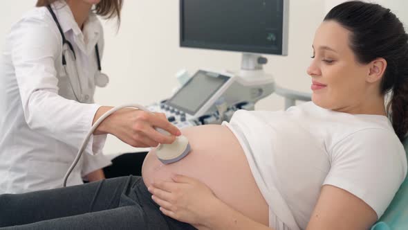 Attractive Pregnant Woman Getting Ultrasound Screening