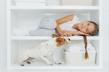 Lovely preschooler lies on white shelf in washing room, has long pigtail, plays with dog / Photodune, Misc