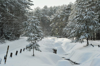 森の周りの雪の中の山川の冬の風景 / Photodune, Misc