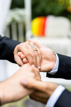 結婚式を祝う同性愛者のカップル / Photodune, Misc