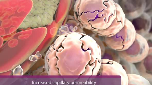 hydrostatic pressure in capillaries